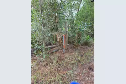 1020 Grandview Lane, West Columbia, SC 29172 - Photo 22