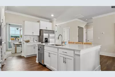 217 Sunny Stream Drive, Chapin, SC 29036 - Photo 4