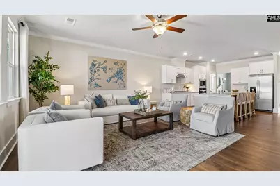 217 Sunny Stream Drive, Chapin, SC 29036 - Photo 8