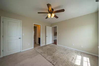 457 Crawley Lane, Chapin, SC 29036 - Photo 46