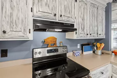 225 Hallie Hills Road, Lexington, SC 29073 - Photo 8