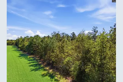 0 Martin Smith Road, Gilbert, SC 29054 - Photo 4