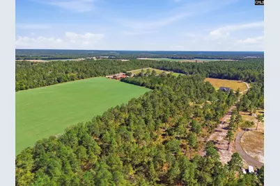 0 Martin Smith Road, Gilbert, SC 29054 - Photo 8