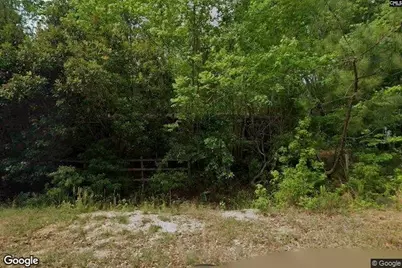 335 Railroad Avenue, Bamberg, SC 29003 - Photo 1