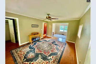 238 Joe Free Road, Chapin, SC 29036 - Photo 2