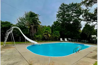 238 Joe Free Road, Chapin, SC 29036 - Photo 22