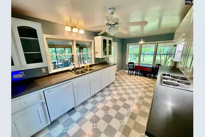 238 Joe Free Road, Chapin, SC 29036 - Photo 6