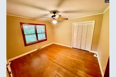 238 Joe Free Road, Chapin, SC 29036 - Photo 14