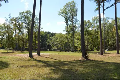 670 Goat Hill Road, Ridgeway, SC 29130 - Photo 4