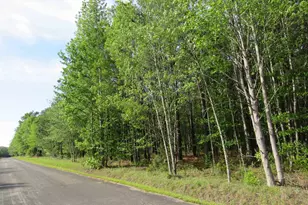 S/S Old Eastover Rd, Eastover, SC 29044 - Photo 2