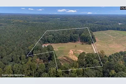 1140 Riddle Road, Leesville, SC 29070 - Photo 6