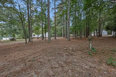 1140 Riddle Road, Leesville, SC 29070 - Photo 56