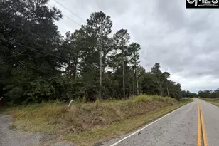 0 Broad St, Leesville, SC 29070 - Photo 1