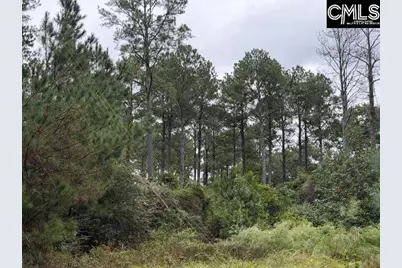 0 Broad Street, Leesville, SC 29070 - Photo 16