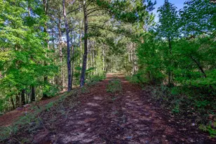 3480 Ben Sanders Rd, Dalzell, SC 29040 - Photo 54