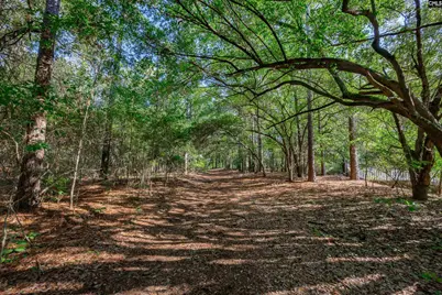 3480 Ben Sanders Road, Dalzell, SC 29040 - Photo 56