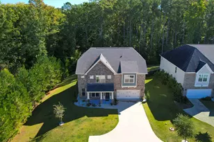 238 Wading Bird Loop, Blythewood, SC 29016 - Photo 56