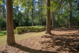 417 Valley Springs Rd, Columbia, SC 29223 - Photo 74
