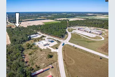 0 Edmund Highway, Pelion, SC 29123 - Photo 6