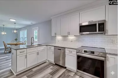 209 Lynch Lane, Chapin, SC 29036 - Photo 6