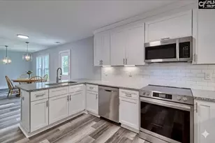 209 Lynch Ln, Chapin, SC 29036 - Photo 6