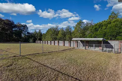 156 Big Sandy Drive, Pelion, SC 29123 - Photo 98