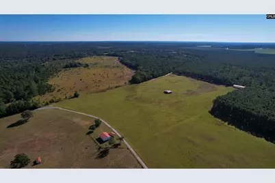 156 Big Sandy Drive, Pelion, SC 29123 - Photo 58