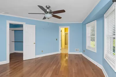 156 Big Sandy Drive, Pelion, SC 29123 - Photo 48