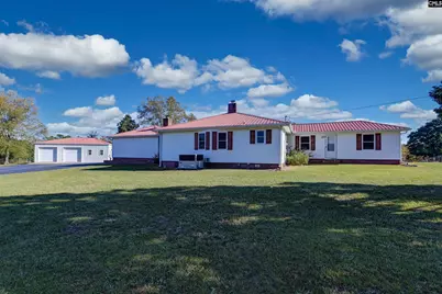 156 Big Sandy Drive, Pelion, SC 29123 - Photo 4