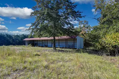 156 Big Sandy Drive, Pelion, SC 29123 - Photo 90