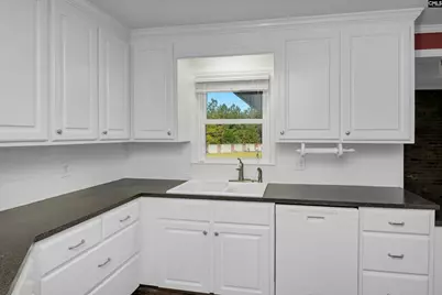 156 Big Sandy Drive, Pelion, SC 29123 - Photo 36