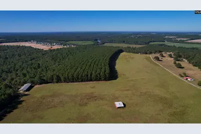 156 Big Sandy Drive, Pelion, SC 29123 - Photo 62