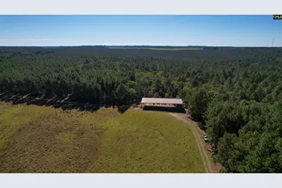 156 Big Sandy Drive, Pelion, SC 29123 - Photo 66