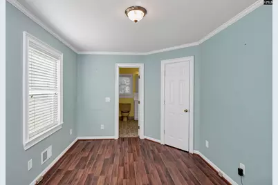 156 Big Sandy Drive, Pelion, SC 29123 - Photo 20