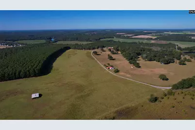 156 Big Sandy Drive, Pelion, SC 29123 - Photo 2