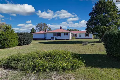 156 Big Sandy Drive, Pelion, SC 29123 - Photo 6