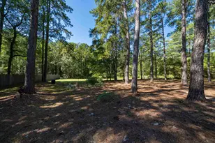 9 Eastbourne Ct, Columbia, SC 29223 - Photo 64