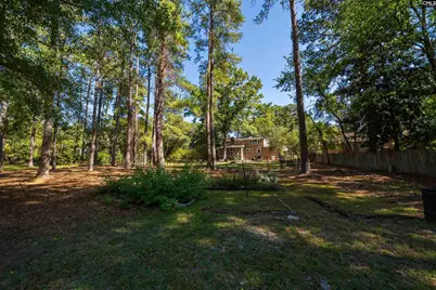 9 Eastbourne Court, Columbia, SC 29223 - Photo 66