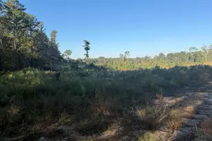 0 Sc Hwy 773 Hwy, Pomaria, SC 29126 - Photo 1