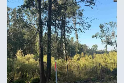 0 Sc Hwy 773 Highway, Pomaria, SC 29126 - Photo 6
