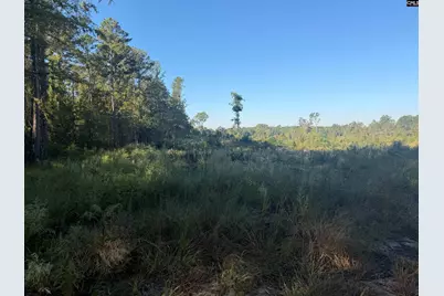 0 Sc Hwy 773 Highway, Pomaria, SC 29126 - Photo 8