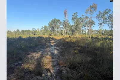 0 Sc Hwy 773 Highway, Pomaria, SC 29126 - Photo 2