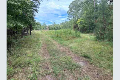 Jollystreet, Prosperity, SC 29127 - Photo 1