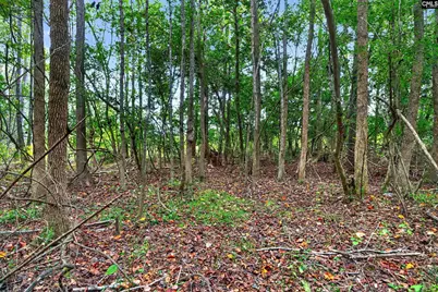 0000 Line Road 4 #4, Elgin, SC 29045 - Photo 28