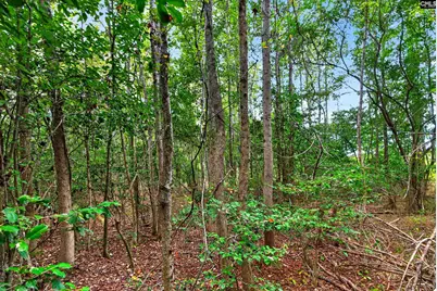 0000 Line Road 4 #4, Elgin, SC 29045 - Photo 26