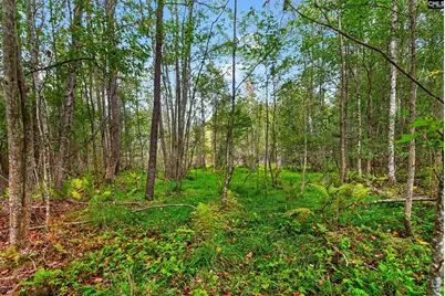 0000 Line Road 4 #4, Elgin, SC 29045 - Photo 24
