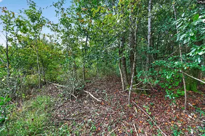 0000 Line Road 4 #4, Elgin, SC 29045 - Photo 42