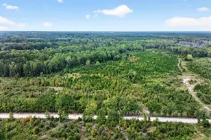 0000 Line Road 4, Elgin, SC 29045 - Photo 1