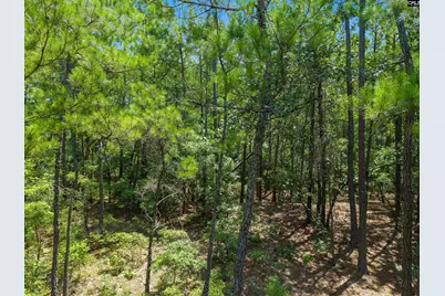 901 Saint Paul Lane, Camden, SC 29020 - Photo 4