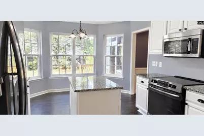 132 Kerry Gibbons Drive, Chapin, SC 29036 - Photo 6